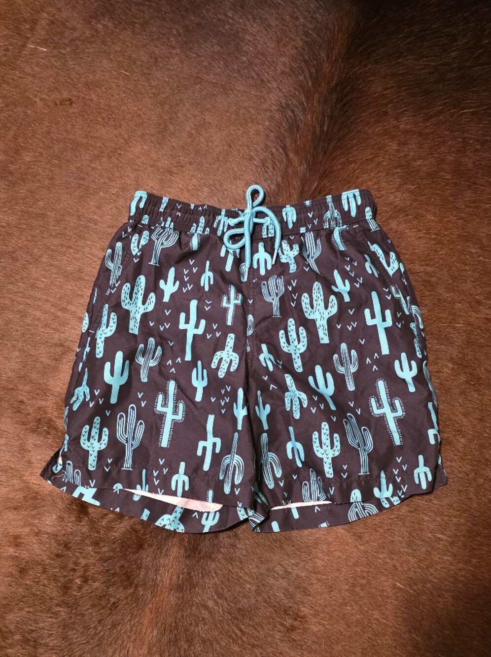 George Lined Cactus Swim Trunks Adult Small
